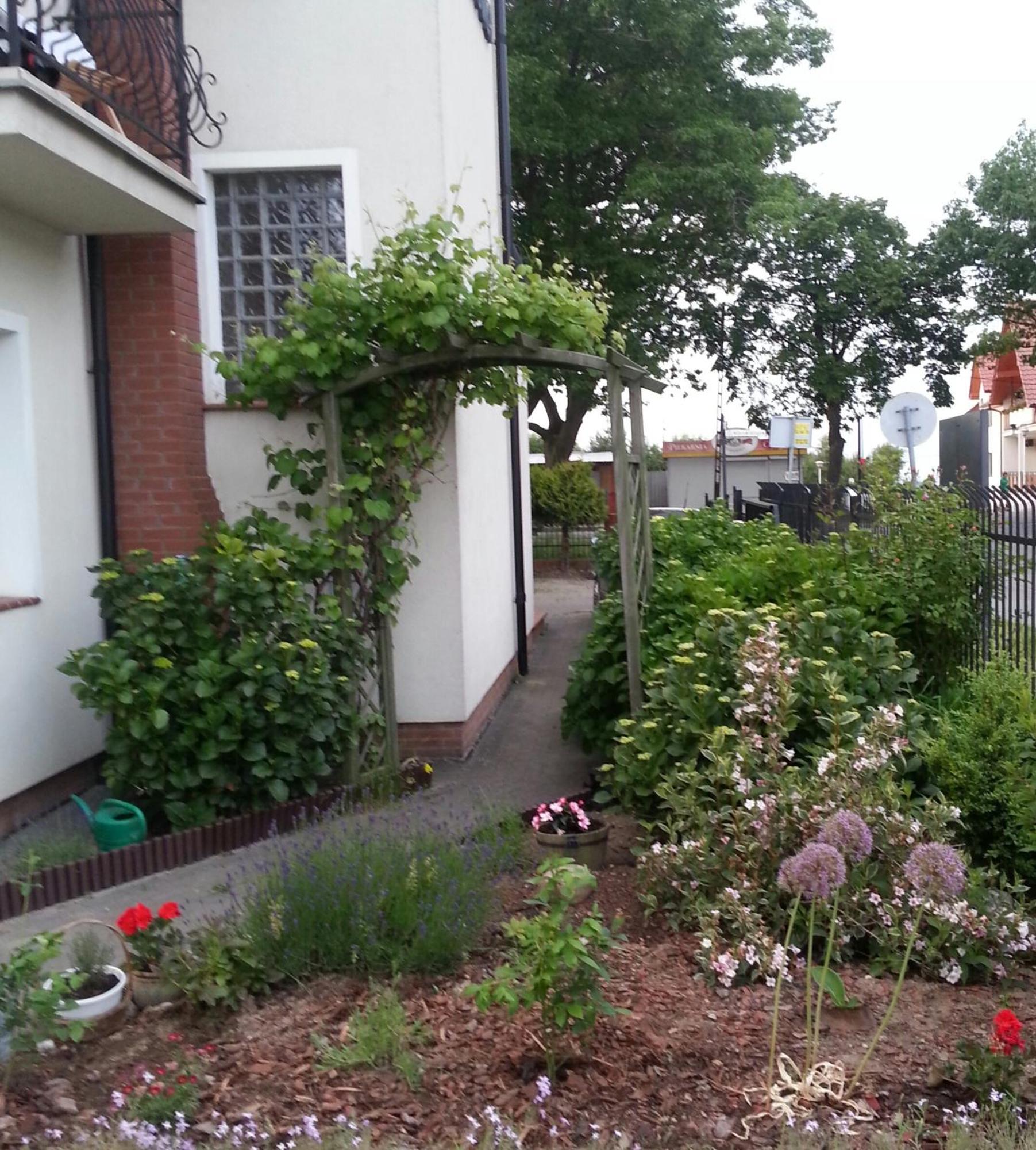 Apartamento Szafranówka Władysławowo Exterior foto